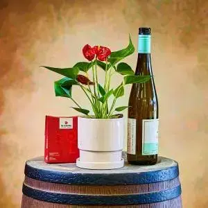 מתנות לעובדים