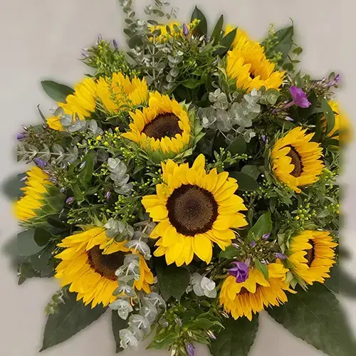 חמניות זרים כפריים