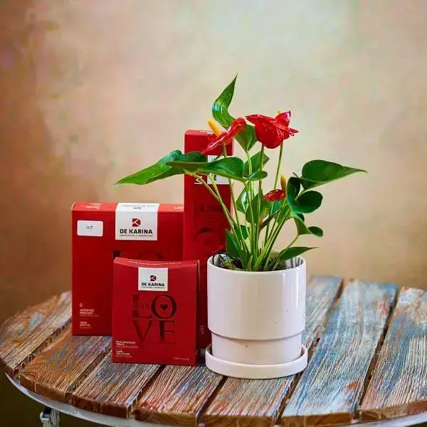 Love Package with Anthurium and Premium Chocolates