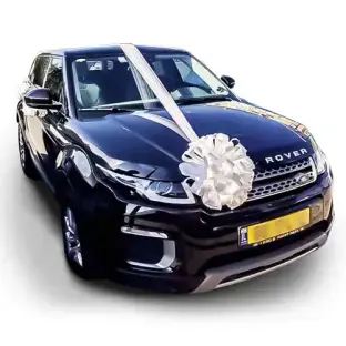 Monaco car decoration