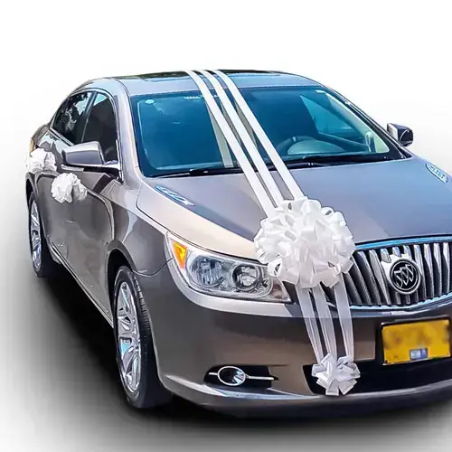 קישוט רכב וגאס