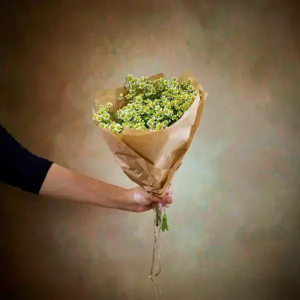 Rustic Chamomile Bunch