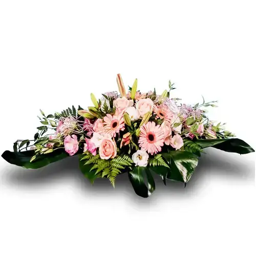 סידור פרחים מלאגה סידור פרחים מלאגה