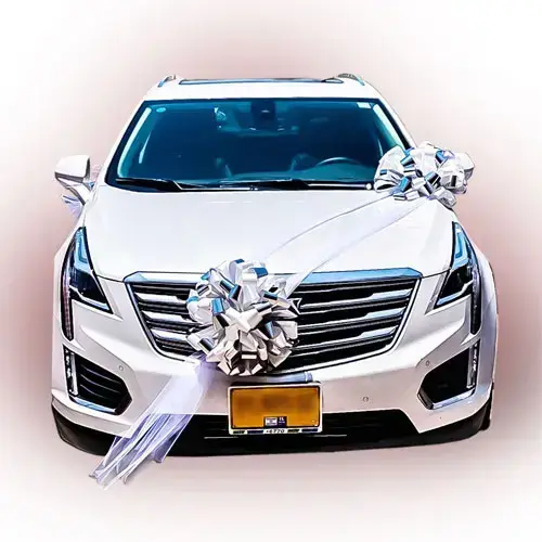 קישוט רכב בוסטון