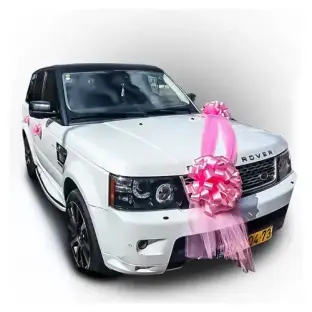 Arizona car decoration
