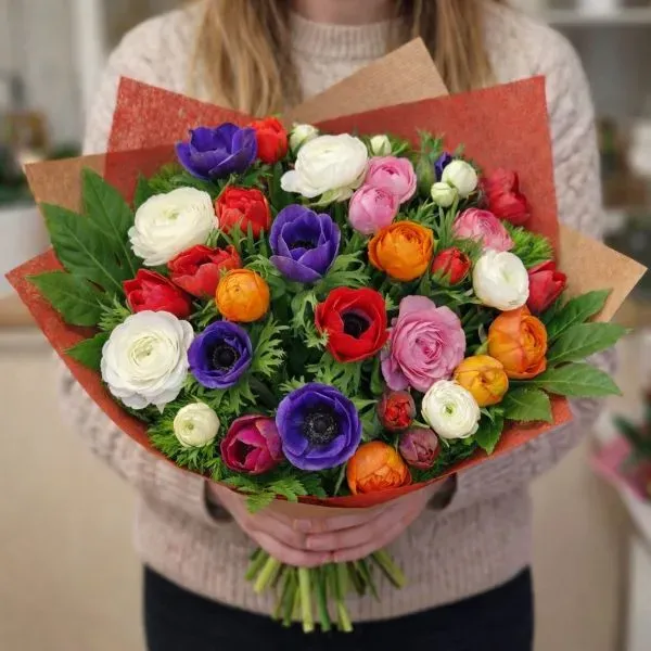 מיקס כלניות ונוריות