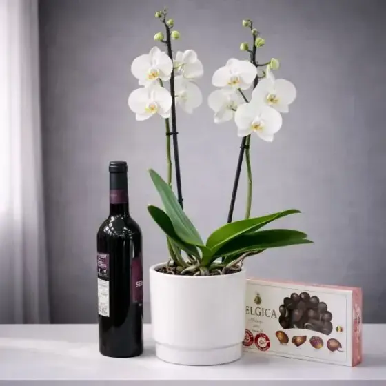 White Orchid Belgian Chocolate Red Wine White Orchid Belgian Chocolate Red Wine