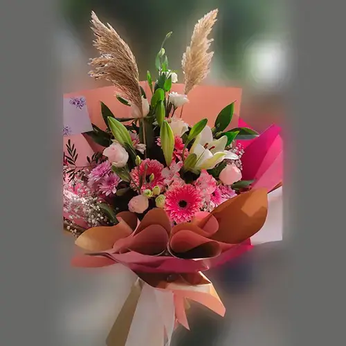 אהובתי בורוד אהובתי בורוד