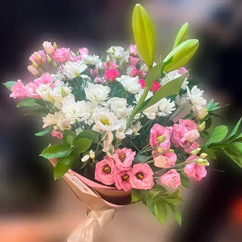 סידור טיל סידור טיל