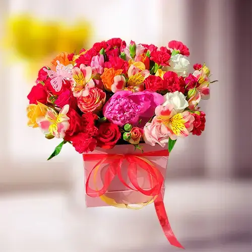 קופסה בהפתעה