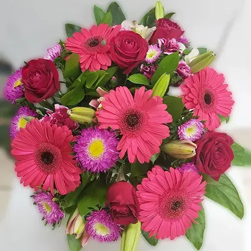 חגיגה באדום וסגול חגיגה באדום וסגול