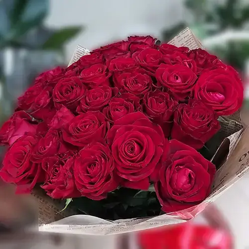 אהבה אדומה אהבה אדומה