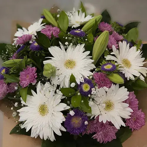 אהבה בהפתעה