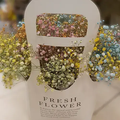 צבעי הקשת צבעי הקשת