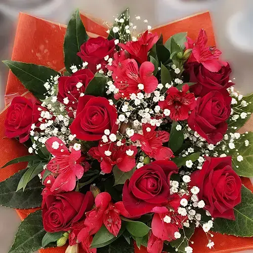 Little Red Riding Hood Little Red Riding Hood