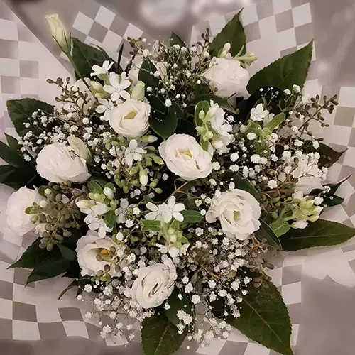 Princess in the snow