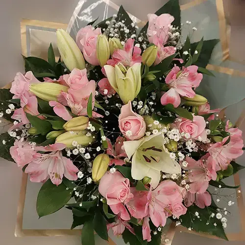 שמיים ורודים שמיים ורודים