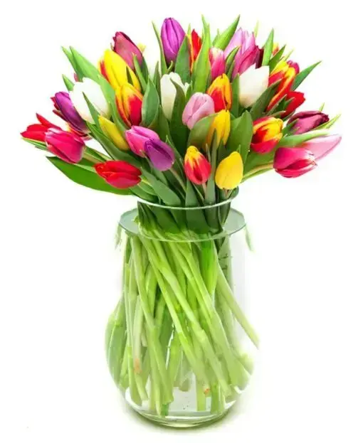 A large bouquet of tulips