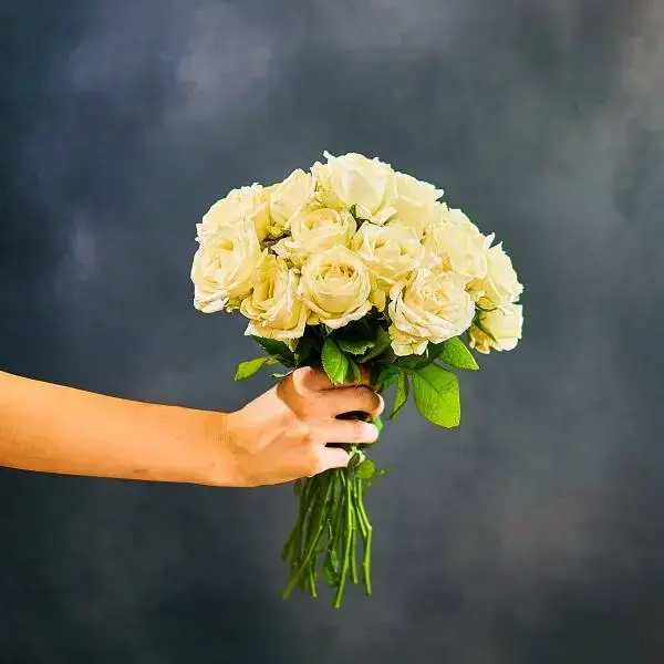 Bouquet of white roses (height 40 cm)