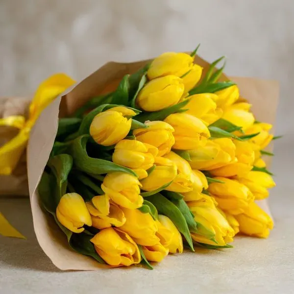 Yellow tulips