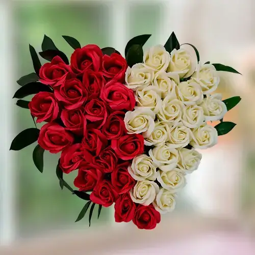 לב אדום לבן