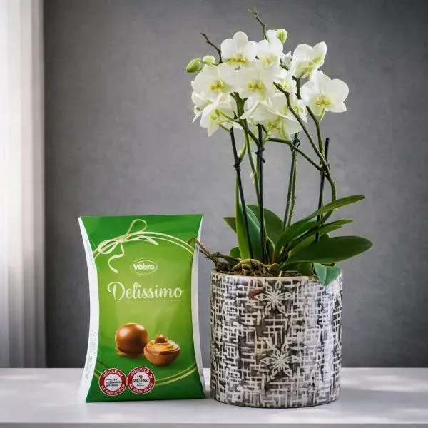 סחלב לבן זוגי בכלי קרמי עם מארז פרלינים