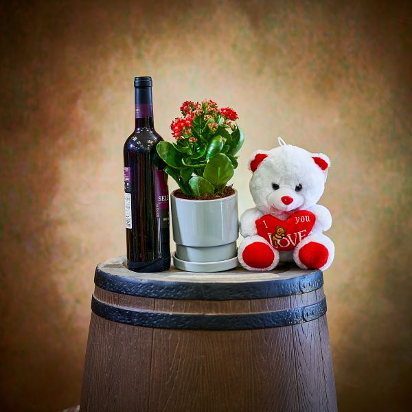  Wine plant teddy bear set