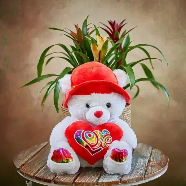 מארז גוזמניה עם דובון פרווה