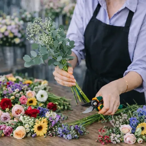 זר בהפתעה זר בהפתעה