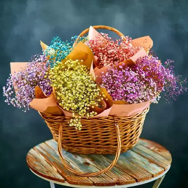 Set of 6 gypsophila bouquets Set of 6 gypsophila bouquets