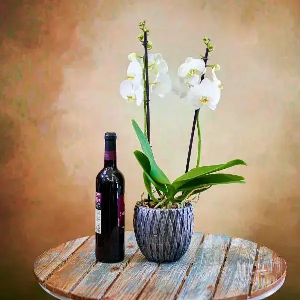 Orchid in a vessel and wine