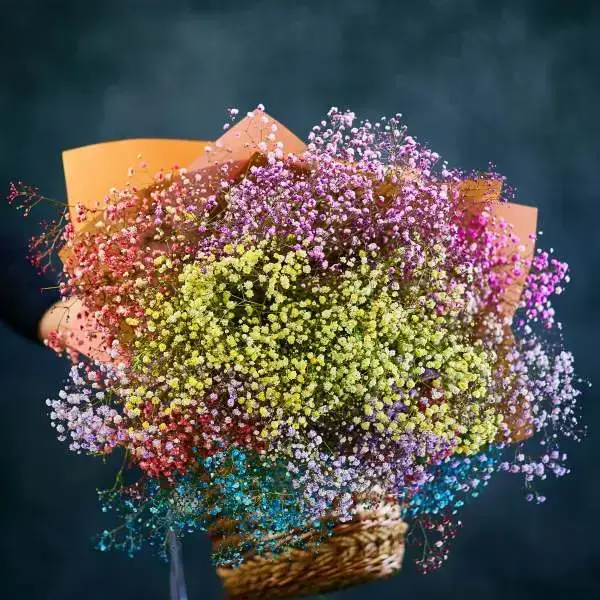 Romantic bouquet of gypsophila in colors of the rainbow