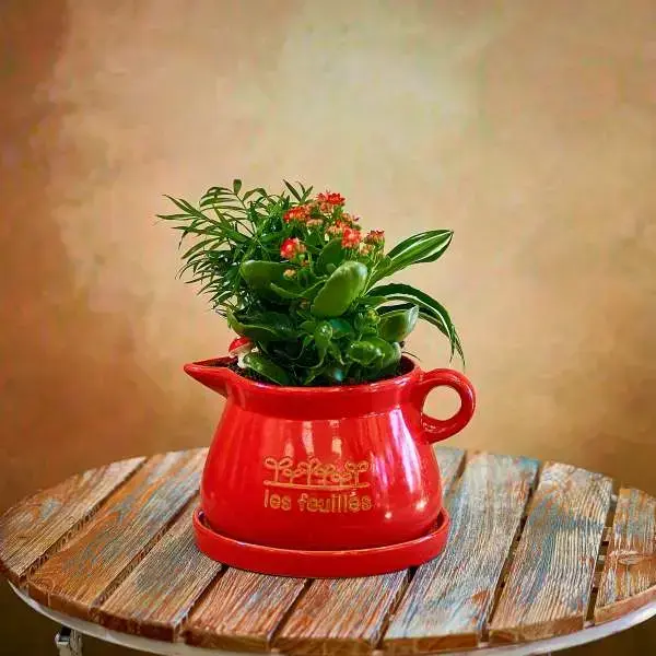 Flowering Plants in a Decorative Pot Flowering Plants in a Decorative Pot