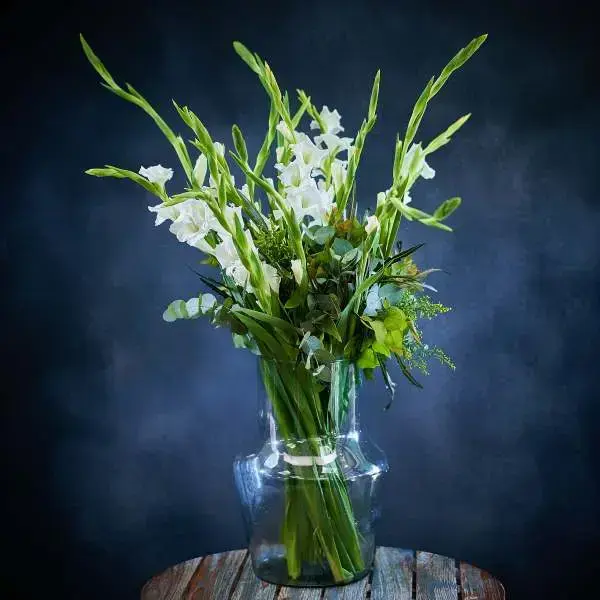 זר סייפנים לבן אלגנטי