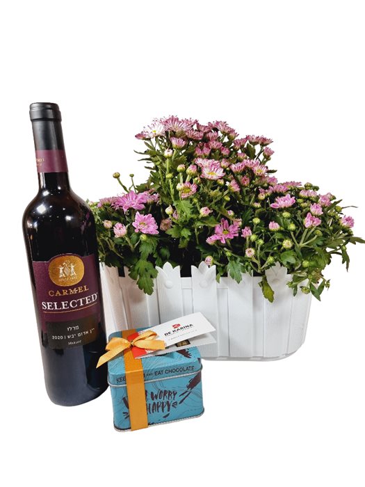 Chrysanthemum planter box with chocolate and wine Chrysanthemum planter box with chocolate and wine