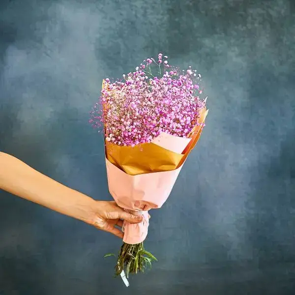 באנץ' גיבסנית סגולה באנץ' גיבסנית סגולה