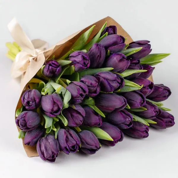 זר טוליפים סגולים