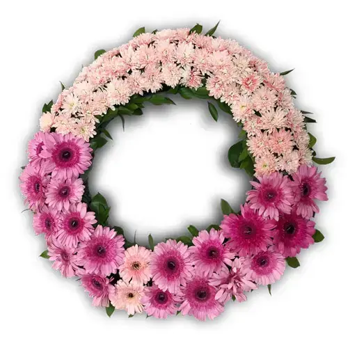 גלגל אבל ורוד לבן