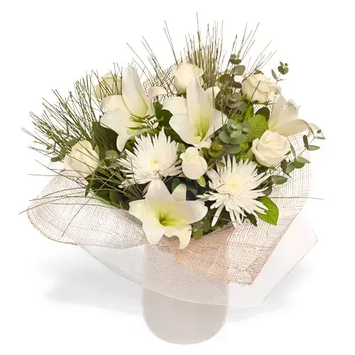 הרמוניה זר בלבן הרמוניה זר בלבן