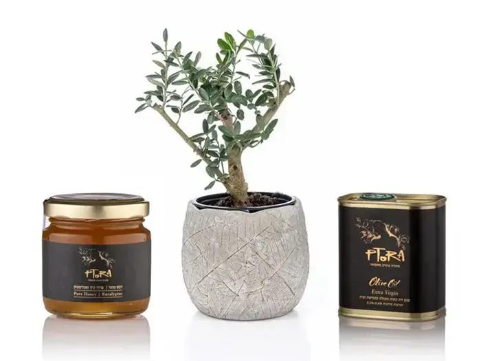 olive pot with a jar of honey and olive oil as a gift