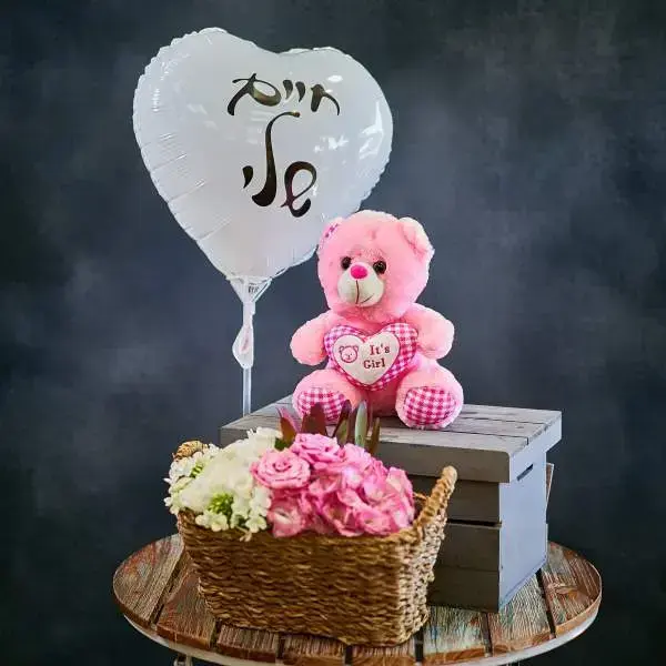 Luxurious Newborn Girl Gift Set