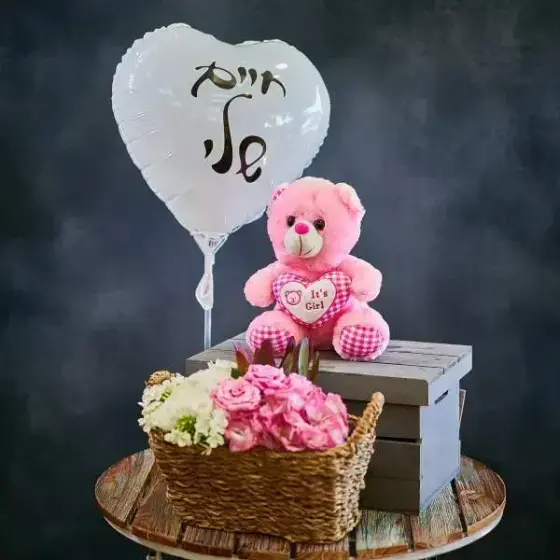 Luxurious Newborn Girl Gift Set Luxurious Newborn Girl Gift Set