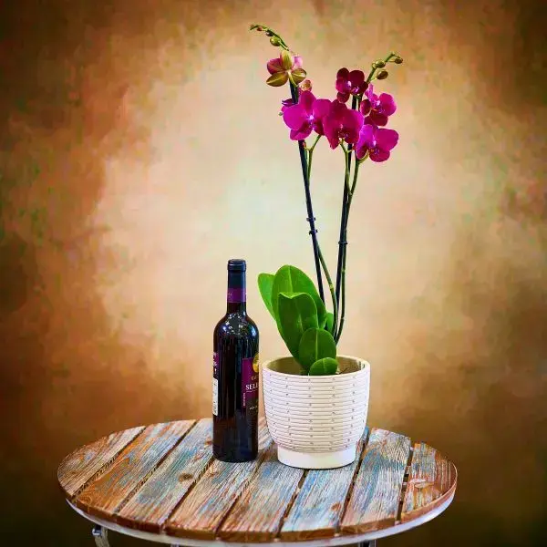 Elegant double orchid and wine