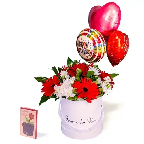 סט אלגנטי סט אלגנטי