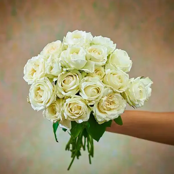 Classic white rose bouquet