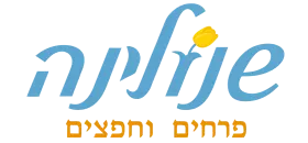 שנולינה רעננה
