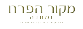 מקור הפרח קריית שמונה