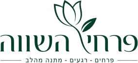 פרחי השווה דימונה