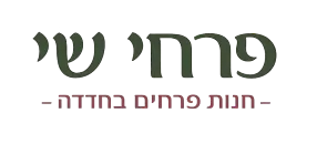 פרחי שי חדרה - חנות פרחים בחדרה